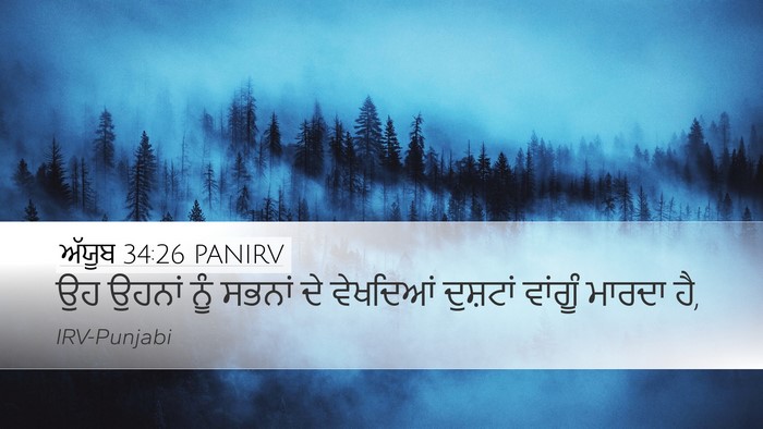 ਅੱਯੂਬ 34:26 PANIRV Bible Verse Image