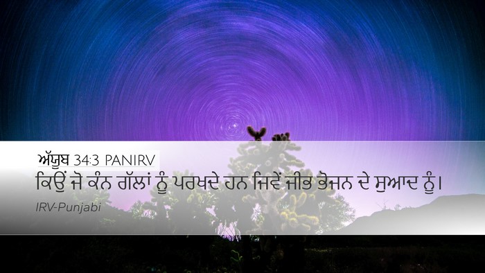 ਅੱਯੂਬ 34:3 PANIRV Bible Verse Image