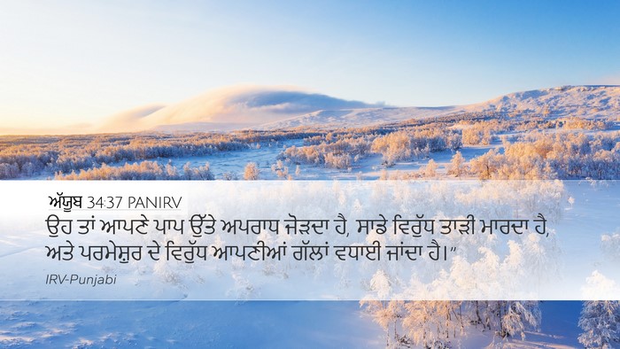 ਅੱਯੂਬ 34:37 PANIRV Bible Verse Image