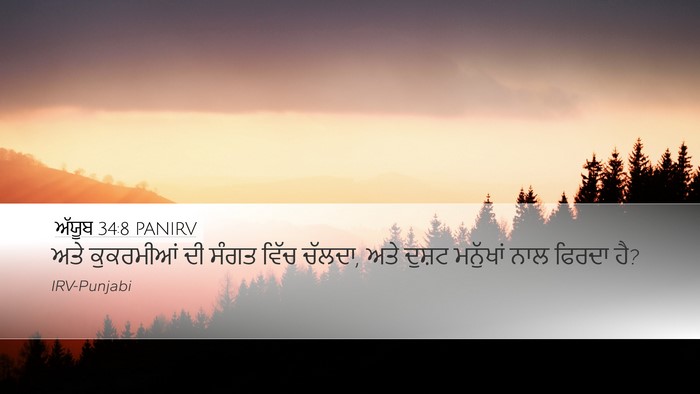 ਅੱਯੂਬ 34:8 PANIRV Bible Verse Image