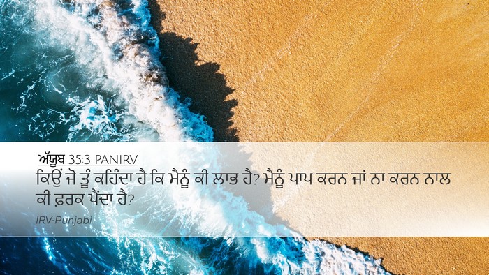 ਅੱਯੂਬ 35:3 PANIRV Bible Verse Image