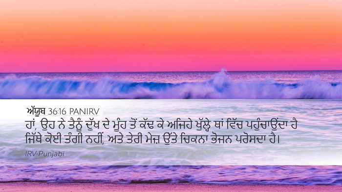 ਅੱਯੂਬ 36:16 PANIRV Bible Verse Image