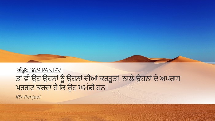 ਅੱਯੂਬ 36:9 PANIRV Bible Verse Image