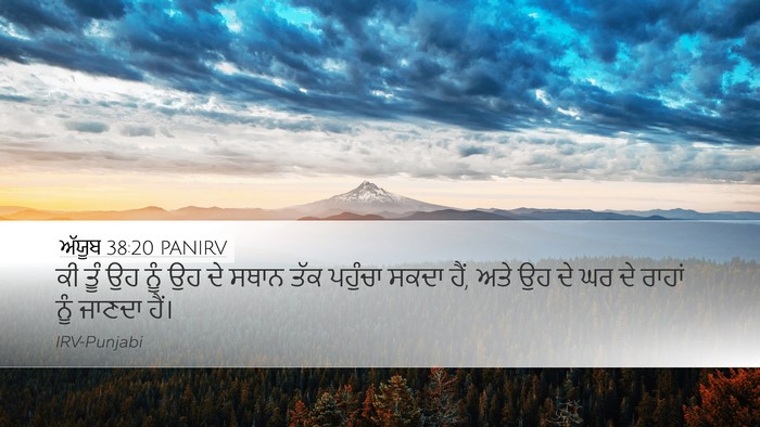 ਅੱਯੂਬ 38:20 PANIRV Desktop Wallpaper - ਕੀ ਤੂੰ ਉਹ ਨੂੰ ਉਹ ਦੇ - Desktop Bible Verse Wallpaper