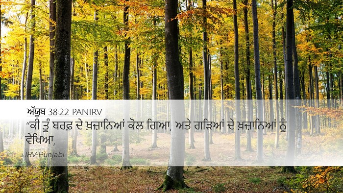 ਅੱਯੂਬ 38:22 PANIRV Bible Verse Image