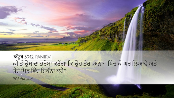 ਅੱਯੂਬ 39:12 PANIRV Desktop Wallpaper - ਕੀ ਤੂੰ ਉਸ ਦਾ ਭਰੋਸਾ - Desktop Bible Verse Wallpaper