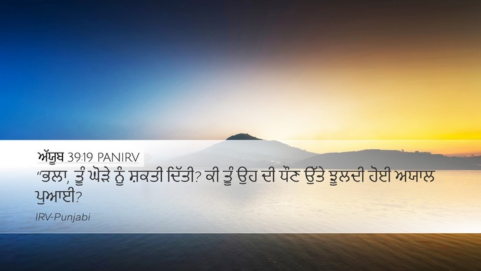 ਅੱਯੂਬ 39:19 PANIRV Bible Verse Image