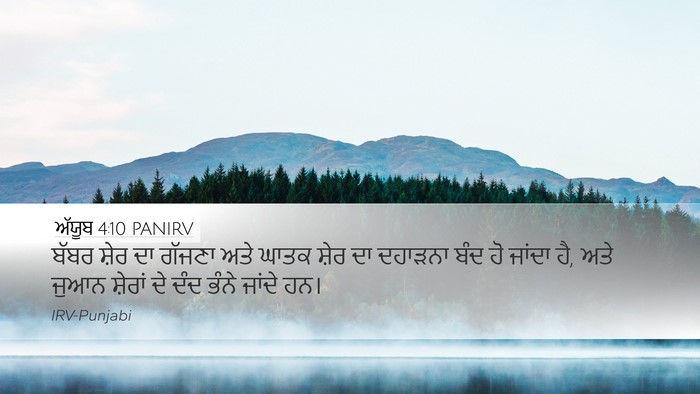 ਅੱਯੂਬ 4:10 PANIRV Bible Verse Image