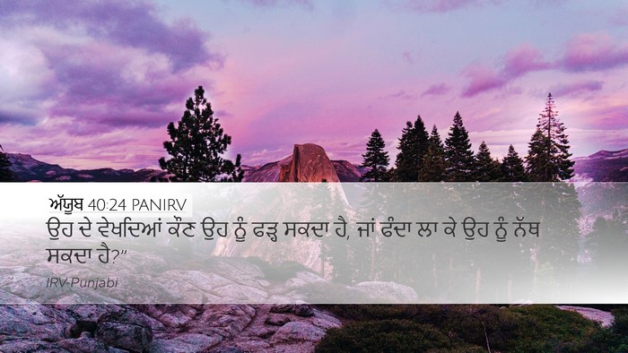 ਅੱਯੂਬ 40:24 PANIRV Desktop Wallpaper - ਉਹ ਦੇ ਵੇਖਦਿਆਂ ਕੌਣ - Desktop Bible Verse Wallpaper