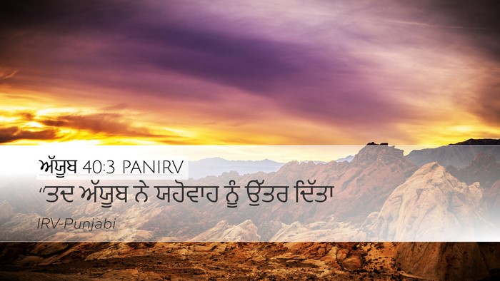 ਅੱਯੂਬ 40:3 PANIRV Desktop Wallpaper - “ਤਦ ਅੱਯੂਬ ਨੇ - Desktop Bible Verse Wallpaper