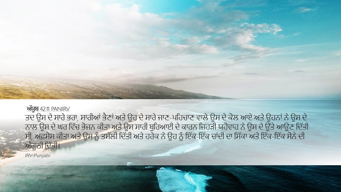 ਅੱਯੂਬ 42:11 PANIRV Bible Verse Image