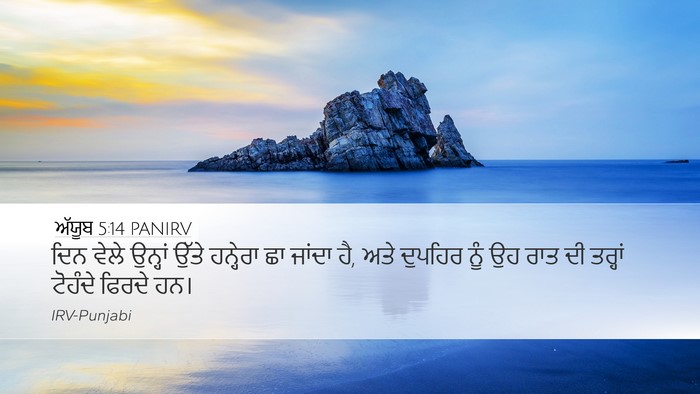 ਅੱਯੂਬ 5:14 PANIRV Bible Verse Image