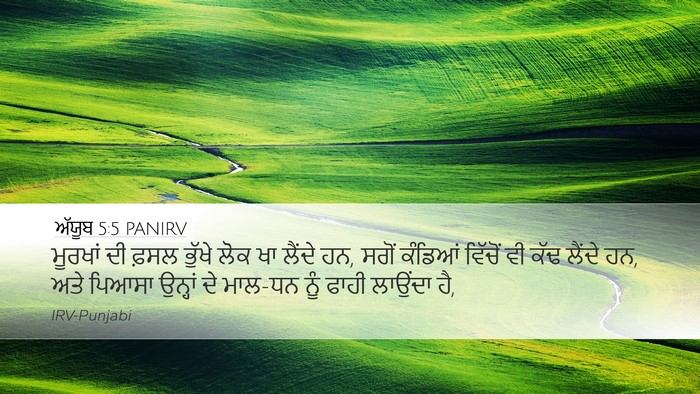 ਅੱਯੂਬ 5:5 PANIRV Bible Verse Image