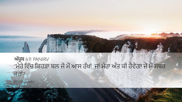 ਅੱਯੂਬ 6:11 PANIRV Bible Verse Image