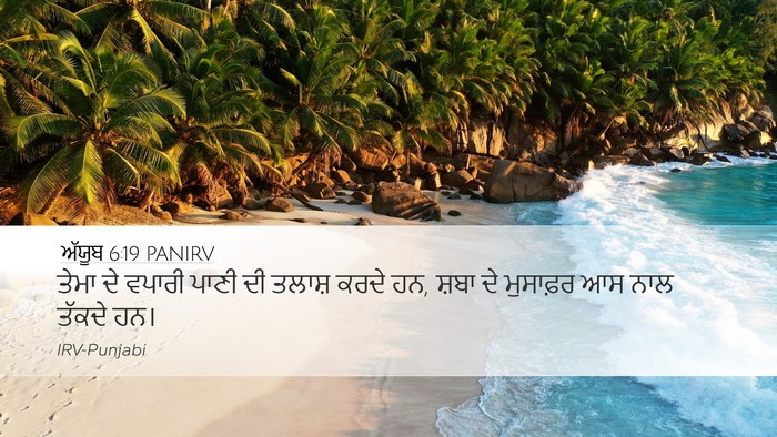 ਅੱਯੂਬ 6:19 PANIRV Bible Verse Image