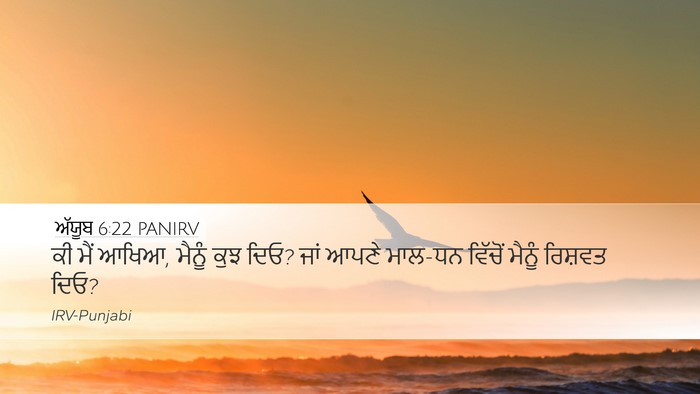 ਅੱਯੂਬ 6:22 PANIRV Bible Verse Image