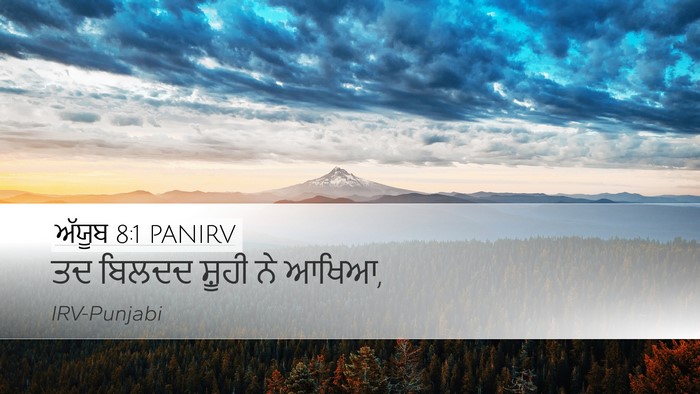 ਅੱਯੂਬ 8:1 PANIRV Bible Verse Image