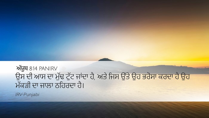 ਅੱਯੂਬ 8:14 PANIRV Bible Verse Image