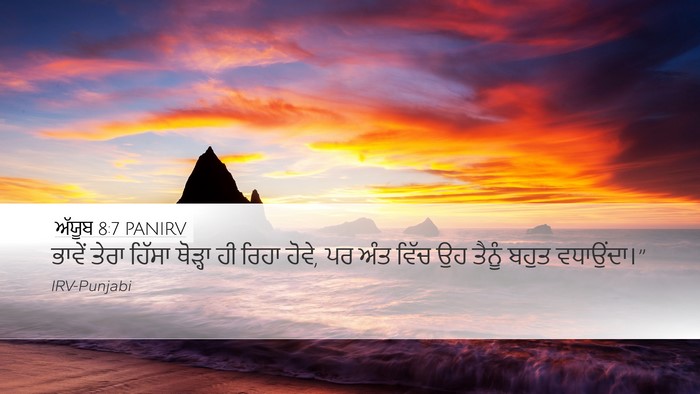 ਅੱਯੂਬ 8:7 PANIRV Bible Verse Image