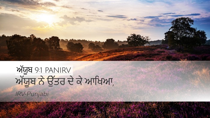 ਅੱਯੂਬ 9:1 PANIRV Desktop Wallpaper - ਅੱਯੂਬ ਨੇ ਉੱਤਰ ਦੇ ਕੇ - Desktop Bible Verse Wallpaper