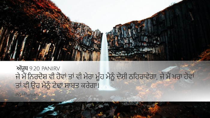 ਅੱਯੂਬ 9:20 PANIRV Bible Verse Image