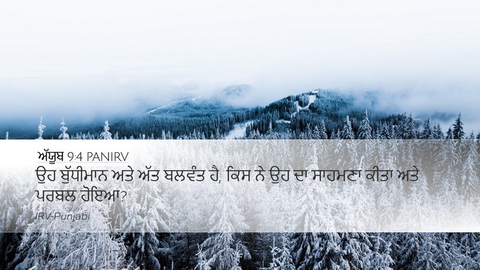 ਅੱਯੂਬ 9:4 PANIRV Bible Verse Image