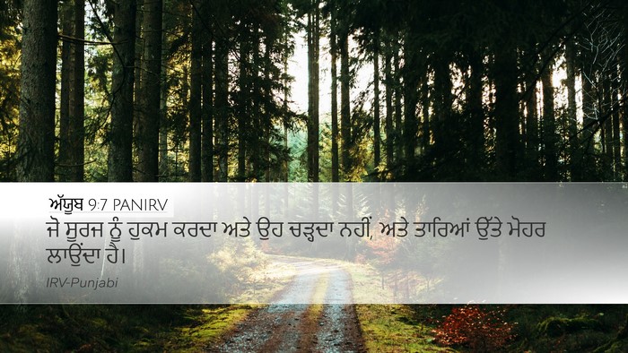 ਅੱਯੂਬ 9:7 PANIRV Bible Verse Image