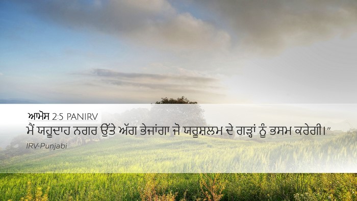 ਆਮੋਸ 2:5 PANIRV Bible Verse Image