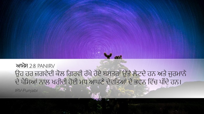 ਆਮੋਸ 2:8 PANIRV Bible Verse Image