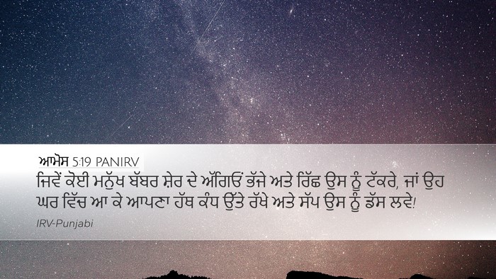 ਆਮੋਸ 5:19 PANIRV Bible Verse Image
