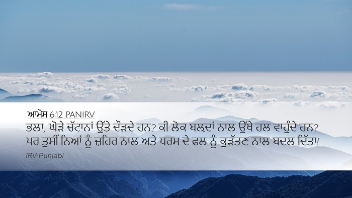 ਆਮੋਸ 6:12 PANIRV Bible Verse Image