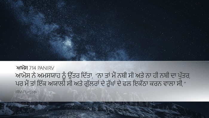 ਆਮੋਸ 7:14 PANIRV Bible Verse Image