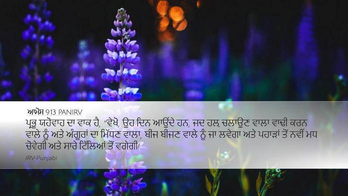 ਆਮੋਸ 9:13 PANIRV Bible Verse Image