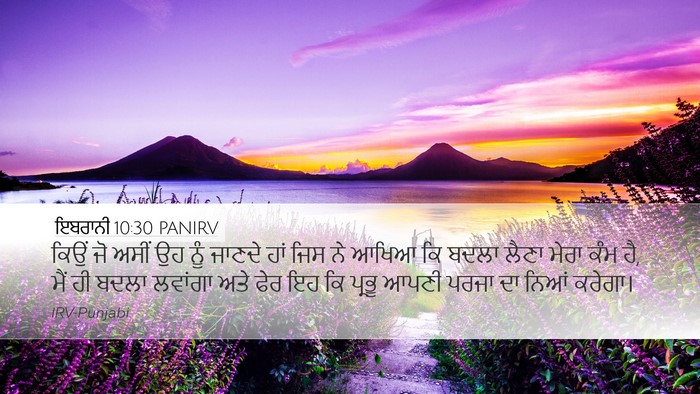 ਇਬਰਾਨੀ 10:30 PANIRV Bible Verse Image