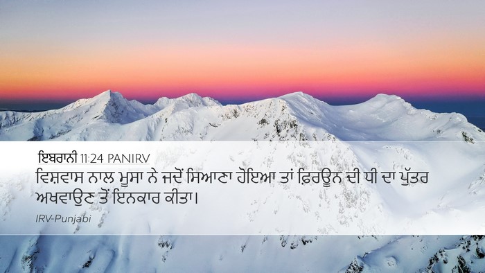 ਇਬਰਾਨੀ 11:24 PANIRV Bible Verse Image