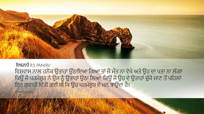 ਇਬਰਾਨੀ 11:5 PANIRV Bible Verse Image