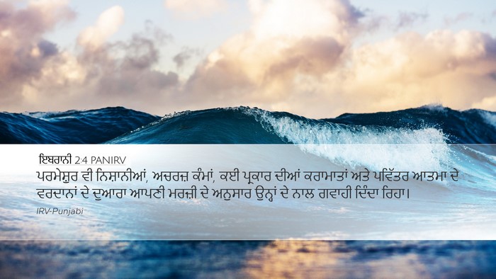 ਇਬਰਾਨੀ 2:4 PANIRV Bible Verse Image