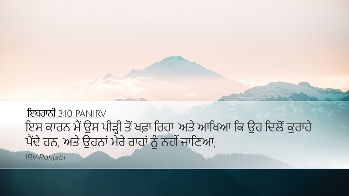 ਇਬਰਾਨੀ 3:10 PANIRV Bible Verse Image