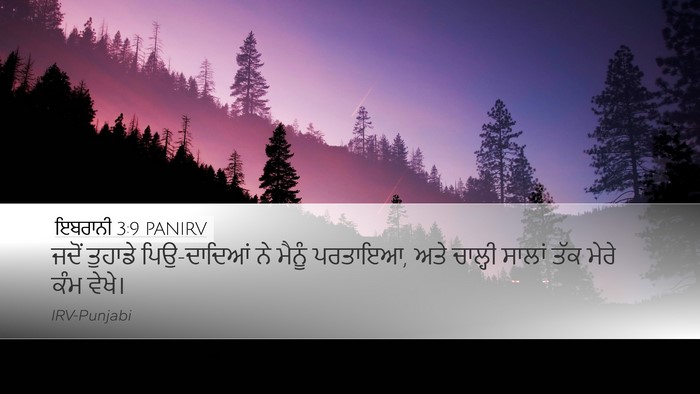 ਇਬਰਾਨੀ 3:9 PANIRV Bible Verse Image