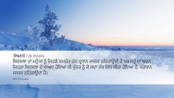 ਇਬਰਾਨੀ 7:28 PANIRV Bible Verse Image
