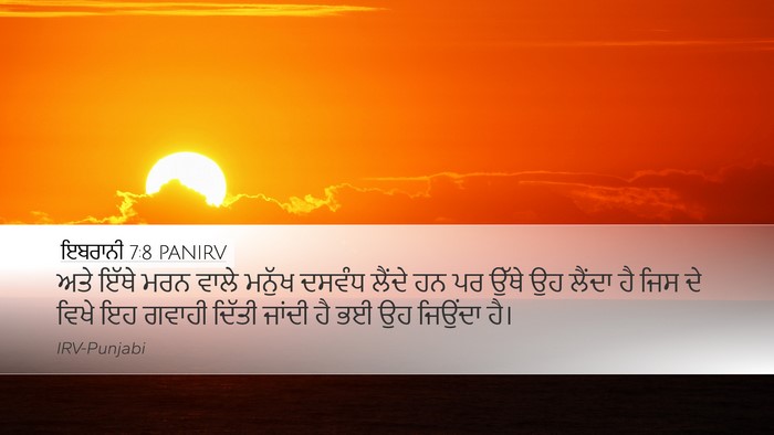 ਇਬਰਾਨੀ 7:8 PANIRV Bible Verse Image