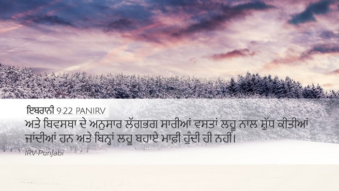 ਇਬਰਾਨੀ 9:22 PANIRV Bible Verse Image
