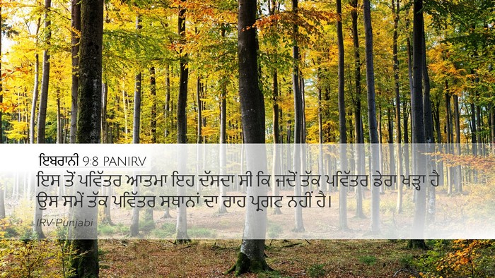 ਇਬਰਾਨੀ 9:8 PANIRV Bible Verse Image
