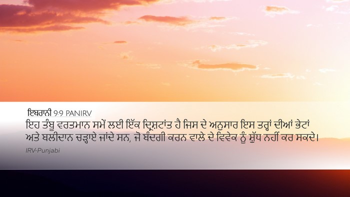 ਇਬਰਾਨੀ 9:9 PANIRV Bible Verse Image