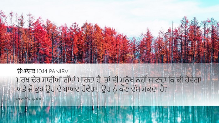 ਉਪਦੇਸ਼ਕ 10:14 PANIRV Bible Verse Image