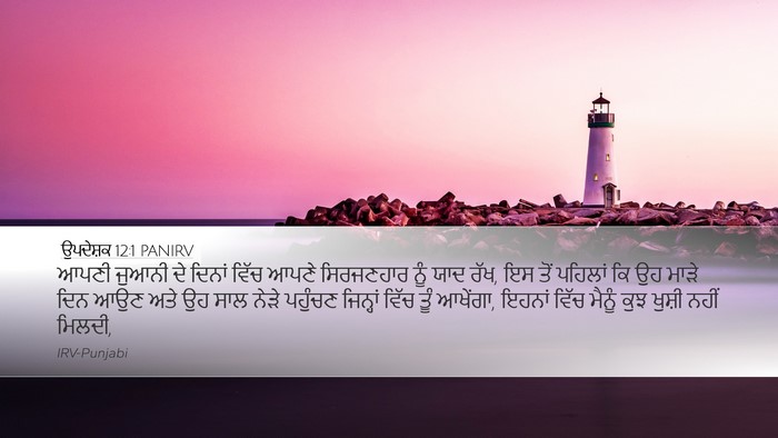 ਉਪਦੇਸ਼ਕ 12:1 PANIRV Bible Verse Image