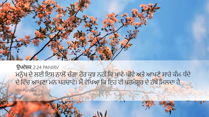 ਉਪਦੇਸ਼ਕ 2:24 PANIRV Bible Verse Image