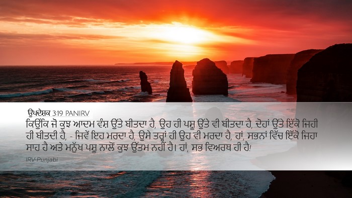 ਉਪਦੇਸ਼ਕ 3:19 PANIRV Bible Verse Image