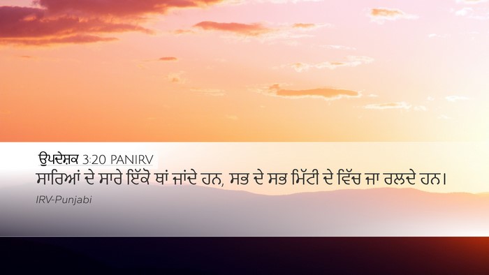 ਉਪਦੇਸ਼ਕ 3:20 PANIRV Bible Verse Image