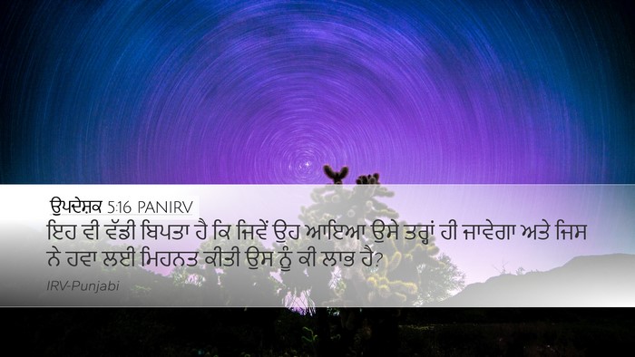 ਉਪਦੇਸ਼ਕ 5:16 PANIRV Bible Verse Image